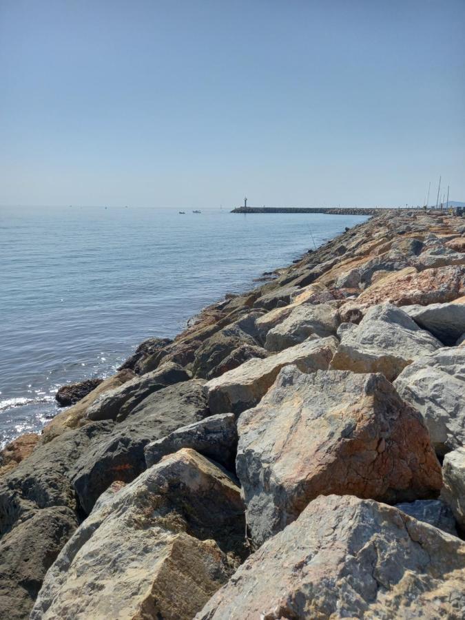 Appartement Saint Cyprien Plage Residence Les Mas De La Mer Luaran gambar