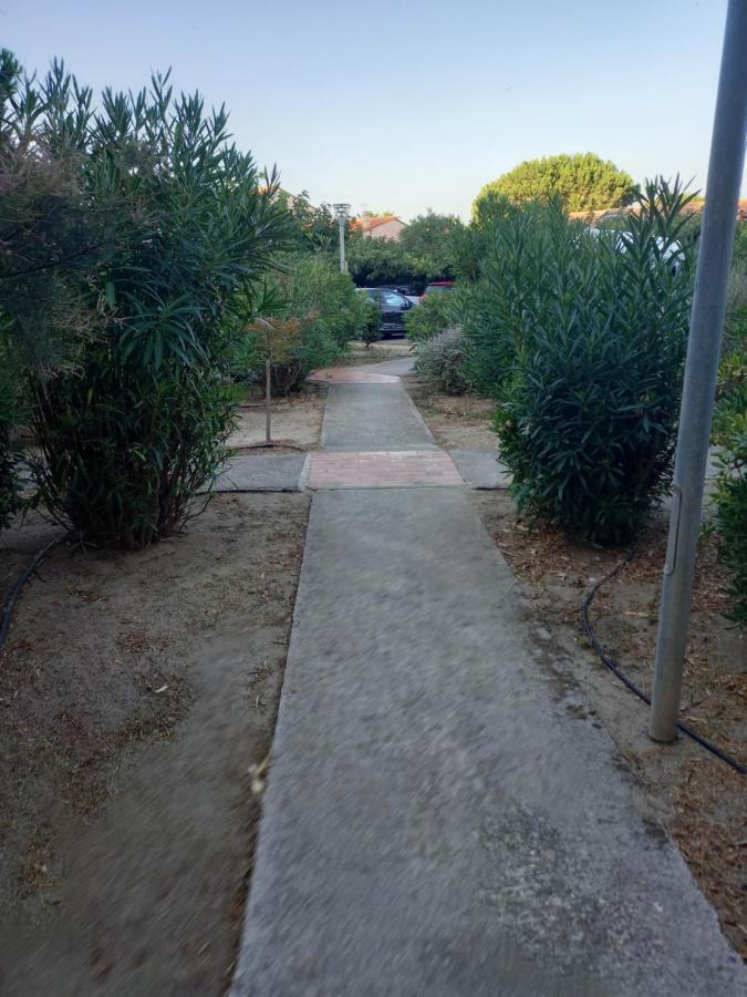 Appartement Saint Cyprien Plage Residence Les Mas De La Mer Luaran gambar